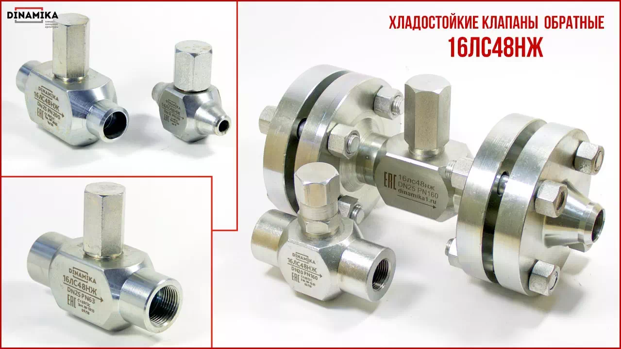 16лс48нж Клапан обратный подъёмный в Новосибирске